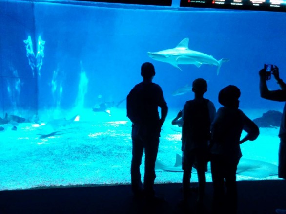 Offerta Hotel + Acquario di Genova fino al 09/12/2022