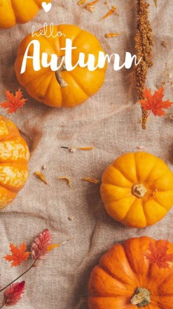 Offerta autunnale 2024 soggiorno e cena con aperitivo incluso