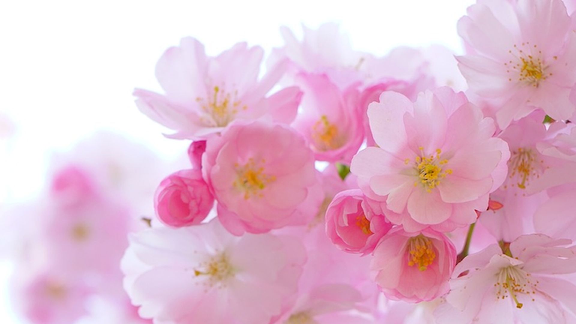 Offerta Aprile 2026 al mare in Liguria