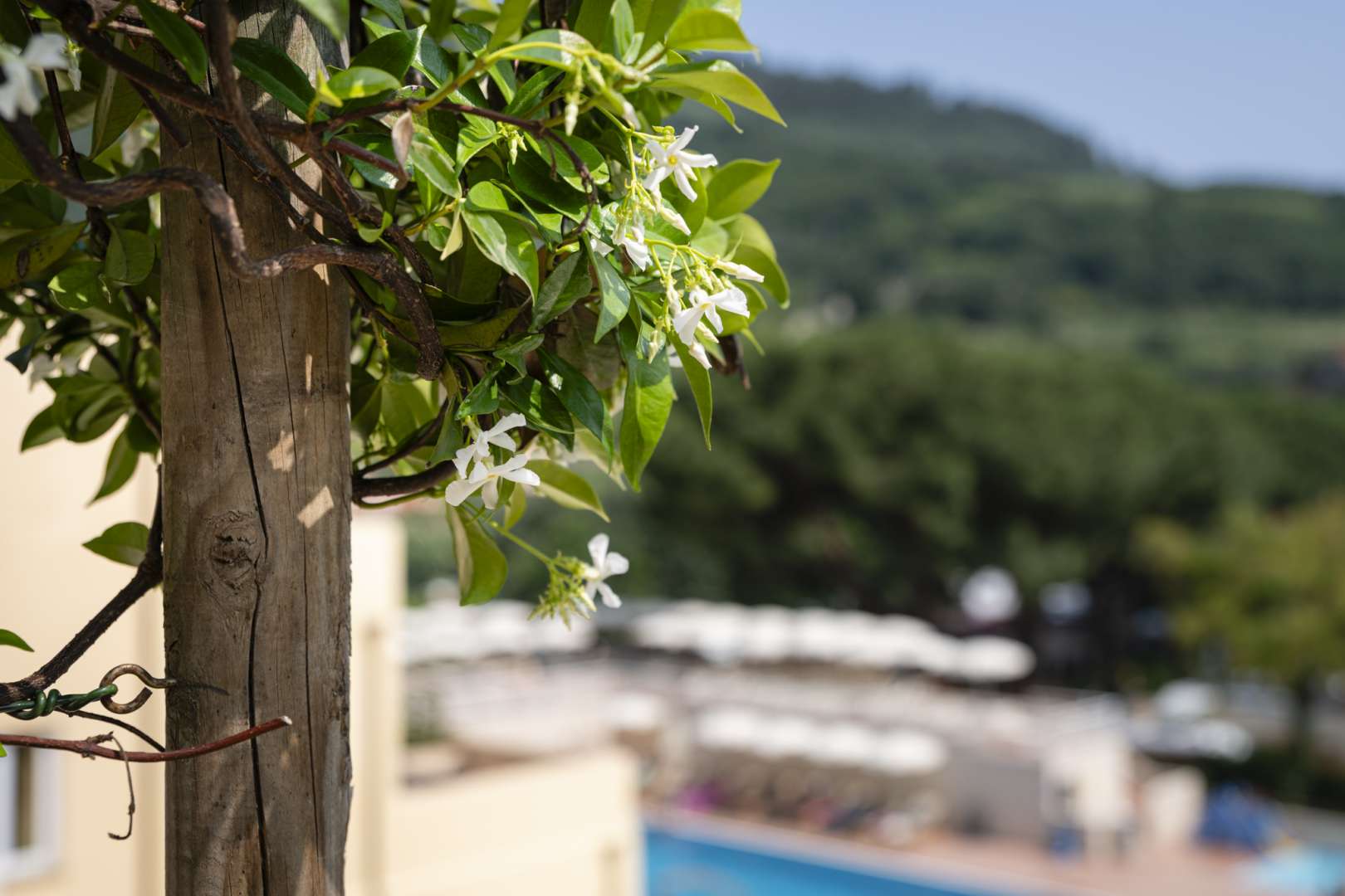 Frohe Ostern 2026! In Ferienwohnungen oder Bungalows in Finale Ligure