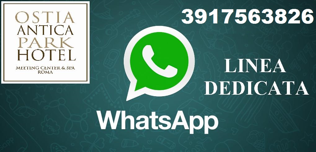 +39 3917563826 - Whatsapp Line