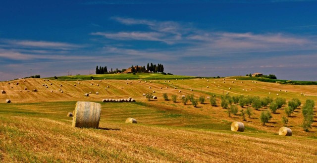 Affitti brevi, la Corte costituzionale cambia il mercato: cosa insegna la sentenza n. 186/2025 sulla legge Toscana