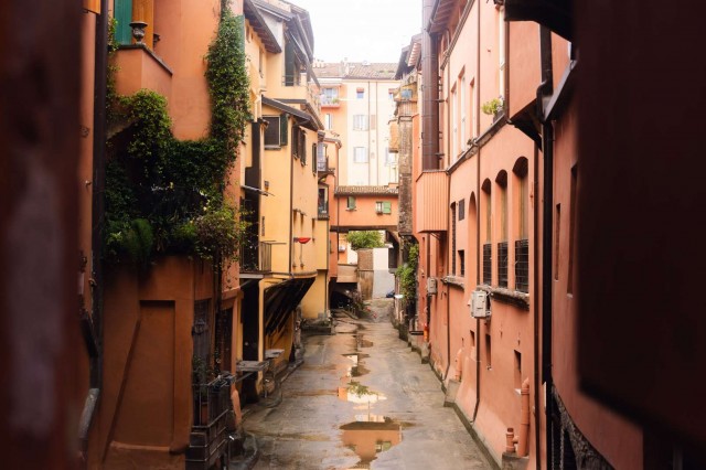 Bologna al 79%: il dato che manca vale più di quello pubblicato
